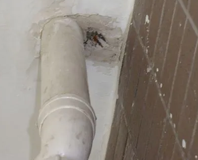 峰峰矿漏水检测哪家好